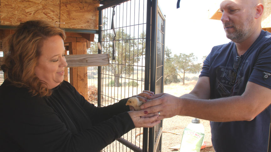 Navigate - Given Us Our Life Back